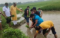 बीरगंजमा मनाईयो धान दिवस